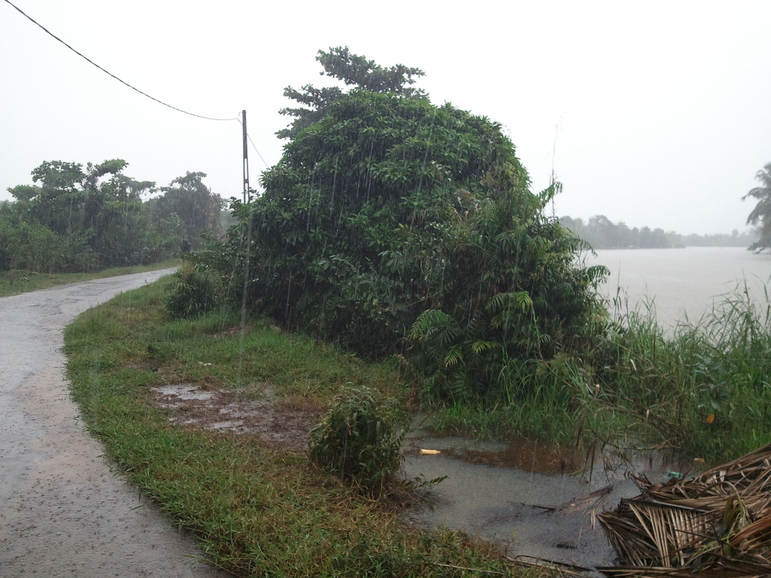 Outside Negombo 