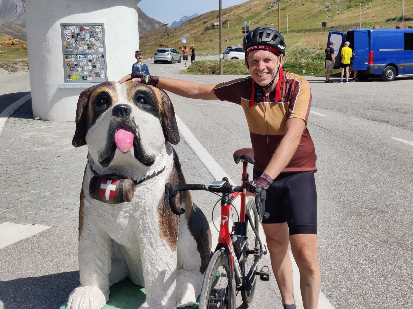 St Bernard dog